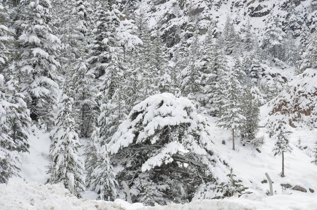 Burası Ocakta Uludağ değil, Nisanda Konya 11